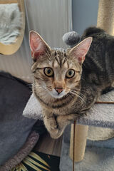 Fotka uživatele gajewskigrzegorz65