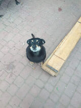 Benutzerfoto marekben1512