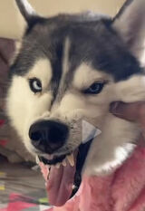 Zdjęcie użytkownika Kriiiiiiiisss