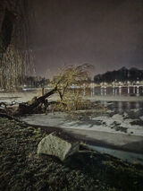 Фотография пользователя MalaCzarna39