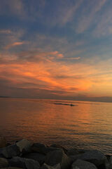 Foto utilizatorului Alicja555555