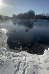 Foto utilizatorului yozek