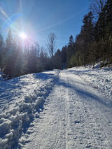 Фотография пользователя Aluuunia74