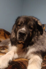 Foto pengguna dyferek444