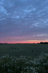 Zdjęcie użytkownika xyzpisz