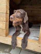 Benutzerfoto Mateusz0097