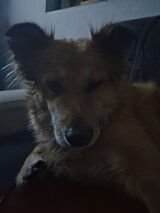 Фотография пользователя stary1977