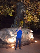 Foto utilizatorului Dave1232