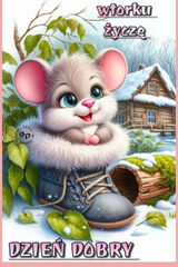 Fotka uživatele franek5677