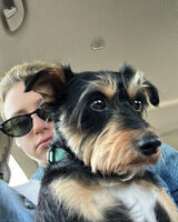 Photos josepheluwole33