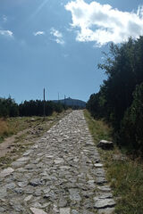 Benutzerfoto dandmi97