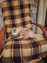 Photos sekutowskimateus69