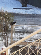 Foto pengguna patrzielinski