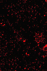 Фото користувача Majkaego