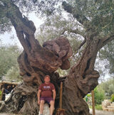 Zdjęcie użytkownika Gembarowski