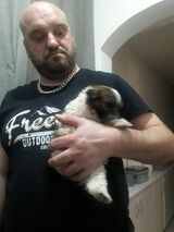 Photos dariuszwieliczko13