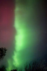 Zdjęcie użytkownika alienslough