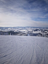 Foto utilizatorului oregano