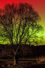 Benutzerfoto Bezniku2