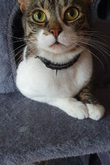 Фото користувача TenJedynyKuba