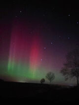 Foto pengguna termi330