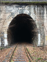 Foto pengguna Adamus