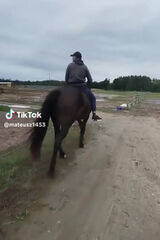 Zdjęcie użytkownika gornowiczmateusz93