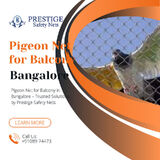 Fotos prestigenetseo