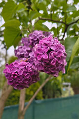 Foto pengguna walczakp38gmail