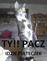 Фото користувача Maniekrozporek