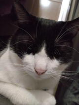 Fotka uživatele mmmmmew