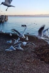 Zdjęcie użytkownika kowalczykkasia299