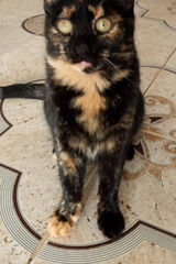 Zdjęcie użytkownika boukhilimajdi11990