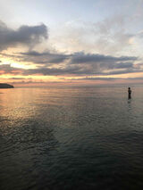 Фото користувача Zofia0