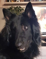 Fotka uživatele andrzejtilalemon