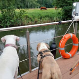 Фотография пользователя quaitaalbutty1