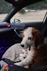 Fotka uživatele amianxxx