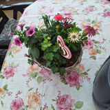 Benutzerfoto Waldemar65