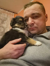 Фотография пользователя MaziarzP