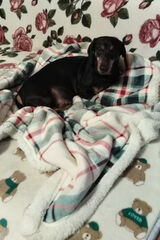 Benutzerfoto Anna2301