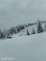 Фотография пользователя adam197506