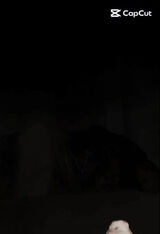 Fotka uživatele wilczekbernadeta9