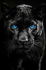 Zdjęcie użytkownika damianrudy73