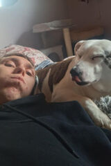 Fotos denispieczek418