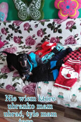 Benutzerfoto Anna2301