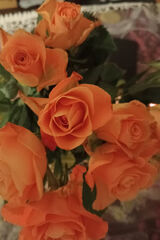 Фотография пользователя szakira333