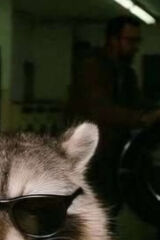 Zdjęcie użytkownika Kacper1742