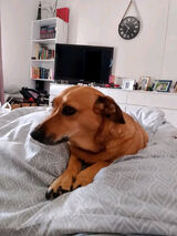 Фото користувача buttyquaitaal505