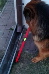 Benutzerfoto Janeczek83