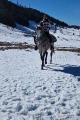 Zdjęcie użytkownika Fkhrddn